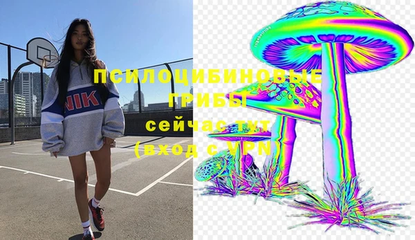 прущие грибы Нягань