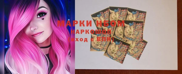 прущие грибы Нягань
