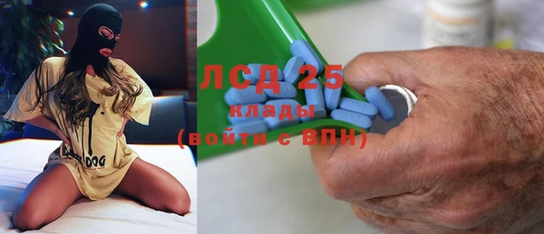 прущие грибы Нягань