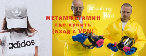 прущие грибы Нягань