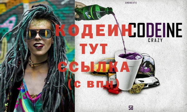 прущие грибы Нягань