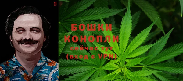 прущие грибы Нягань