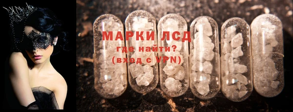 прущие грибы Нягань