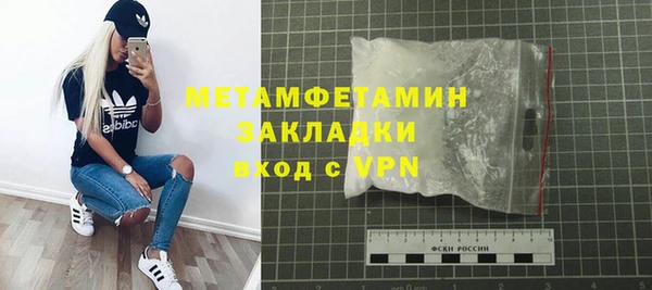 прущие грибы Нягань
